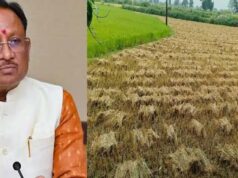 चक्रवात ‘अर्नब’ से प्रभावित किसानों को राहत, CM साय ने शीघ्र मुआवजा देने के दिए निर्देश
