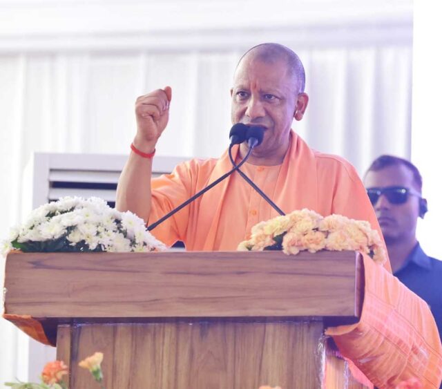 Yogi_01-2.jpg
