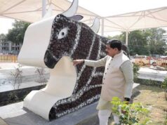 आशीर्वाद का दीया आयोजन के तहत उपयोग किए गए दीयों से बनी नंदी की भव्य आकृति