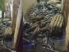 ग्वालियर में अवैध पटाखों पर पुलिस की कार्रवाई, विस्फोटक सामग्री के साथ दो आरोपी पकड़े