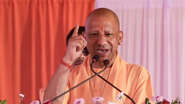 yogi-11.jpg