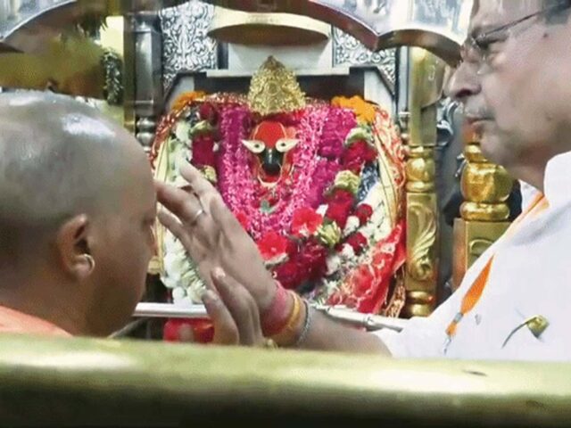 yogi-6.jpg